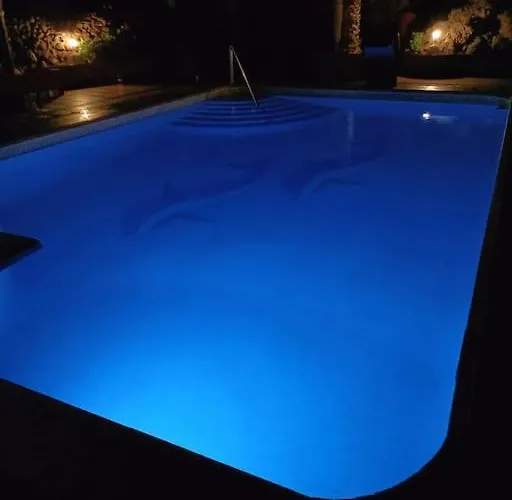 Con Piscina 大加那利岛拉斯帕尔马斯